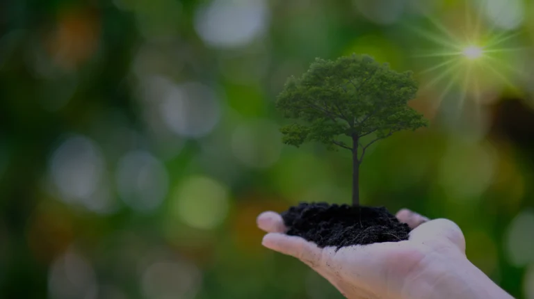 네번째 공지사항 샘플 디자인 포스팅